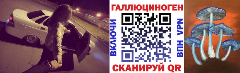Галлюциногенные грибы прущие грибы  Купить где  Братск 